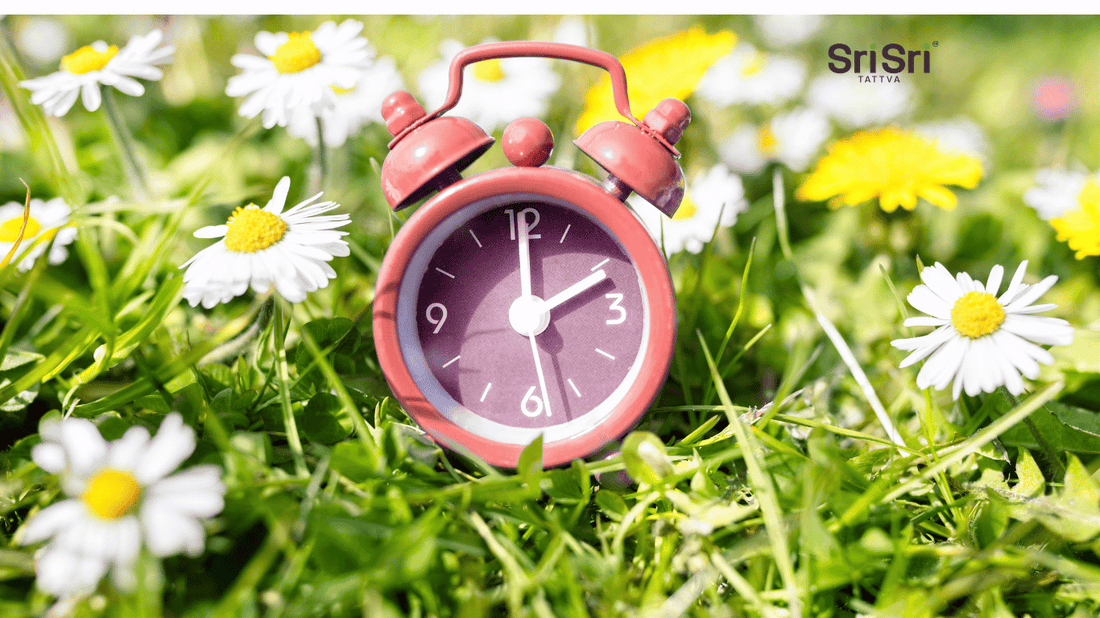 Ayurvedic Spring Reset: Aligning with Nature’s Rhythm