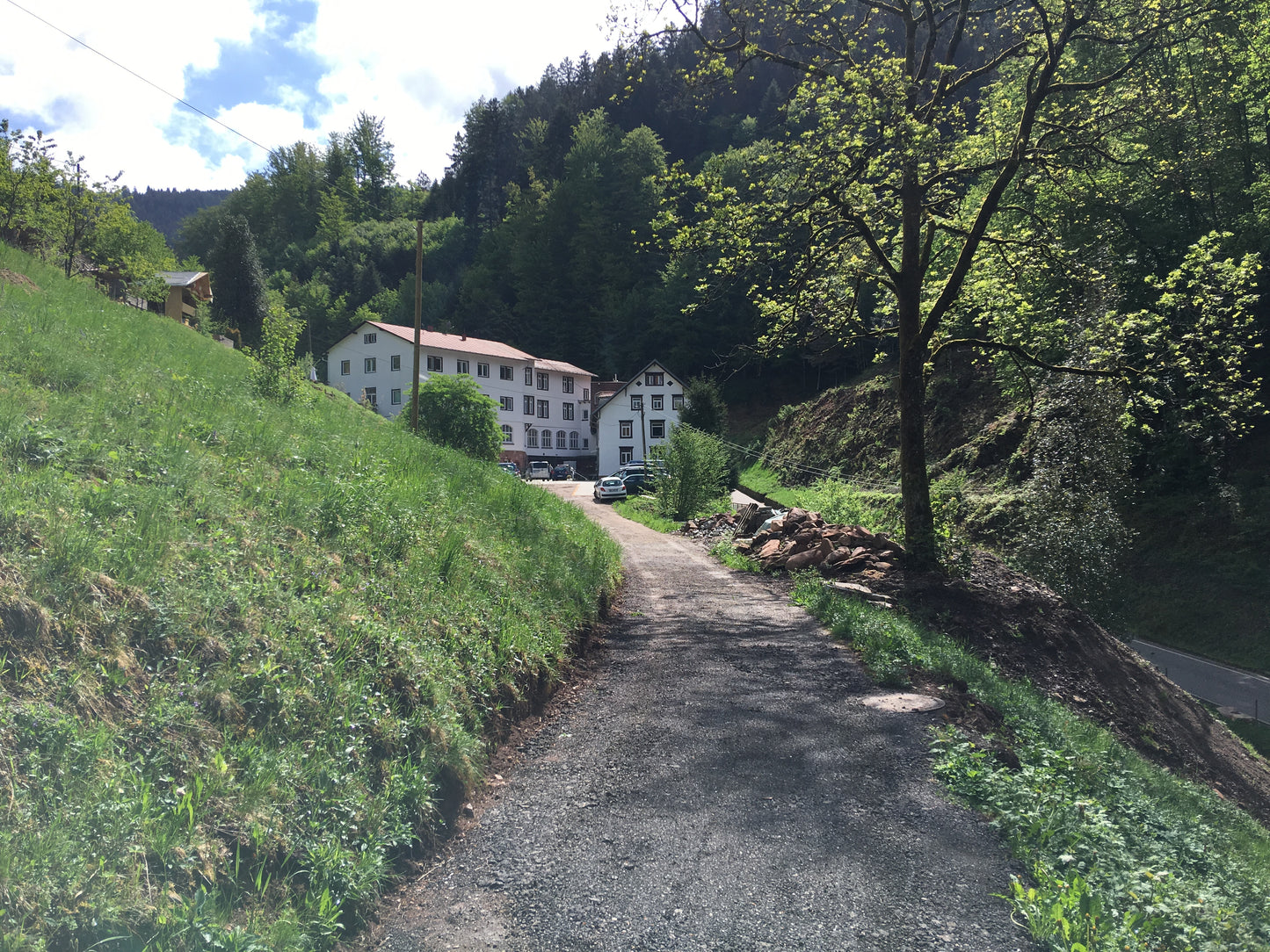 Ayurveda Wellness Retreat in Bad Antogast, Germany