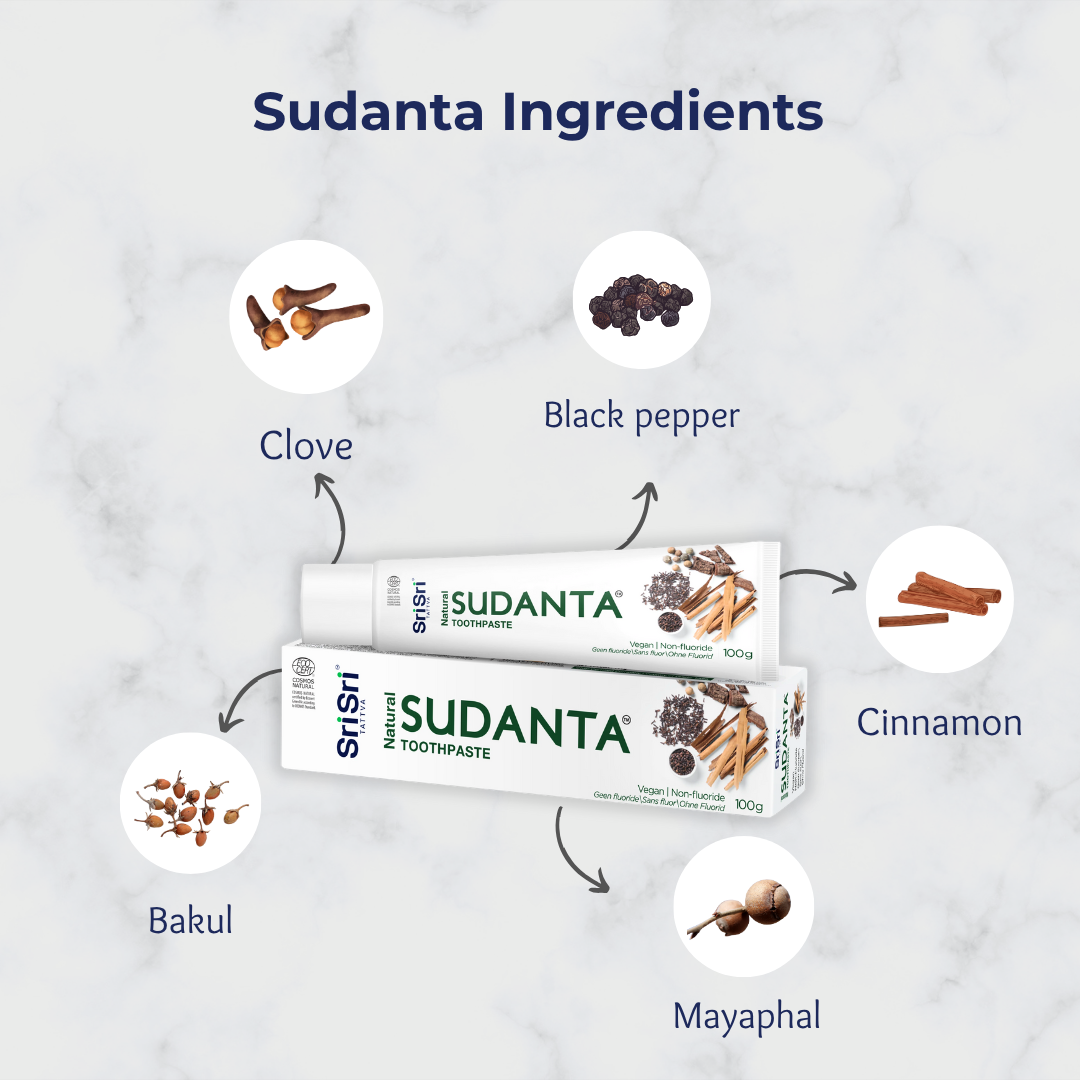ECOCERT Sudanta Zahnpasta 100g | Ayurvedische Zahnpflege