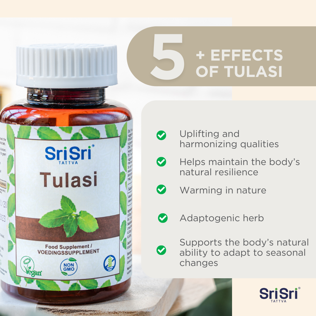 Tulasi Tablets | Holy Basil Supplement | Tulasi Herb | 60 Tablets