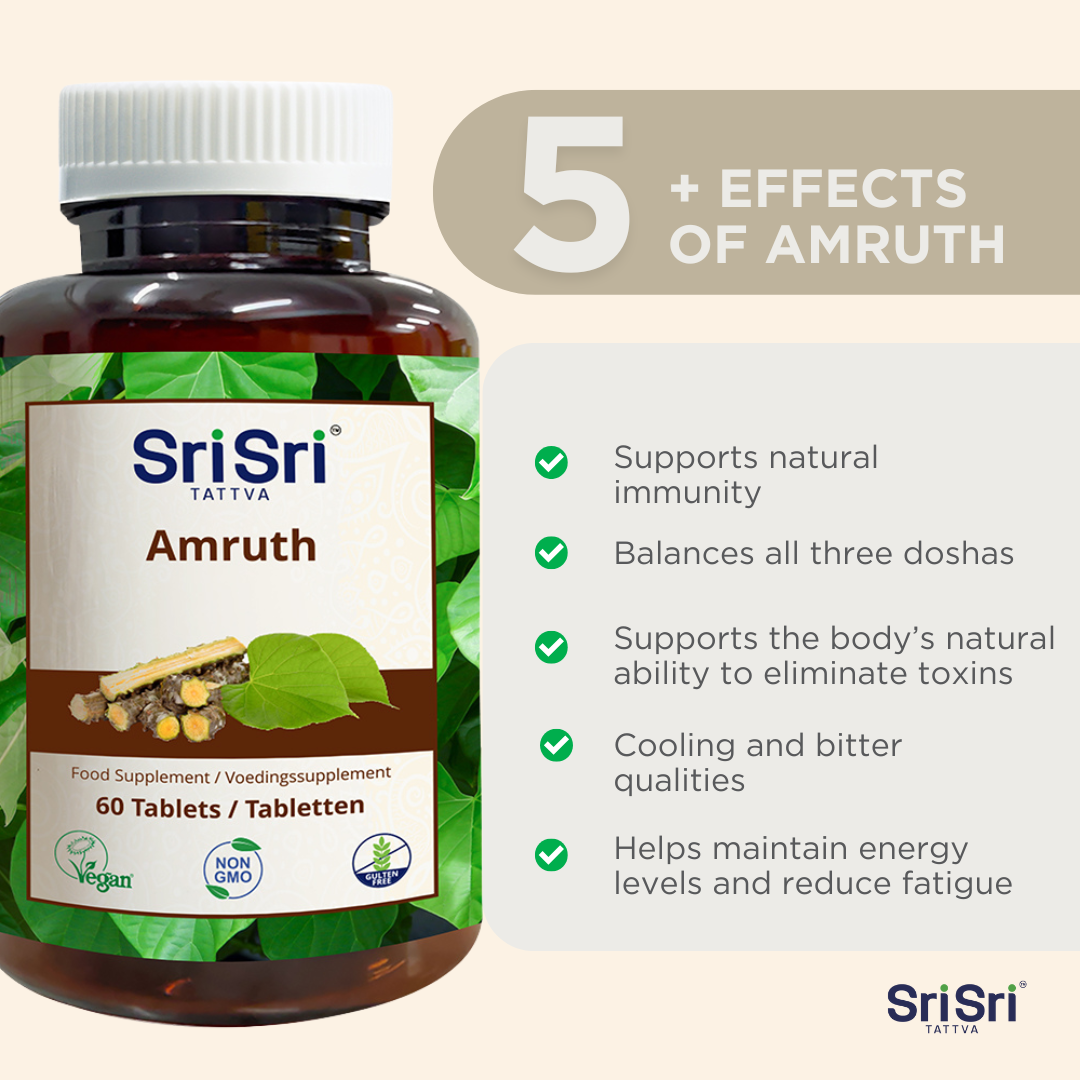 Amruth-Tabletten | 60 Tabletten | Giloy-Tabletten | Guduchi AmruthaAmrita | Tinospora Cordifolia-Pflanze